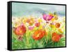 Meadow Poppies-Danhui Nai-Framed Stretched Canvas