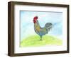 Meadow Rooster-Ingrid Blixt-Framed Art Print
