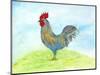 Meadow Rooster-Ingrid Blixt-Mounted Art Print