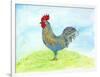 Meadow Rooster-Ingrid Blixt-Framed Art Print