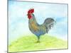 Meadow Rooster-Ingrid Blixt-Mounted Art Print