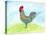 Meadow Rooster-Ingrid Blixt-Stretched Canvas