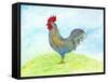 Meadow Rooster-Ingrid Blixt-Framed Stretched Canvas