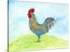 Meadow Rooster-Ingrid Blixt-Stretched Canvas