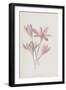 Meadow Saffron (Chromolitho)-Frederick Edward Hulme-Framed Giclee Print