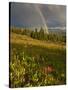 Meadow, Shrine Pass, Colorado, USA-Don Grall-Stretched Canvas