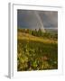 Meadow, Shrine Pass, Colorado, USA-Don Grall-Framed Premium Photographic Print