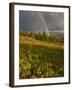 Meadow, Shrine Pass, Colorado, USA-Don Grall-Framed Premium Photographic Print
