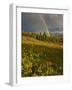 Meadow, Shrine Pass, Colorado, USA-Don Grall-Framed Photographic Print