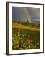 Meadow, Shrine Pass, Colorado, USA-Don Grall-Framed Photographic Print