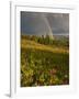 Meadow, Shrine Pass, Colorado, USA-Don Grall-Framed Photographic Print