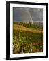 Meadow, Shrine Pass, Colorado, USA-Don Grall-Framed Photographic Print