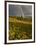 Meadow, Shrine Pass, Colorado, USA-Don Grall-Framed Photographic Print