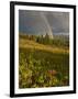 Meadow, Shrine Pass, Colorado, USA-Don Grall-Framed Photographic Print