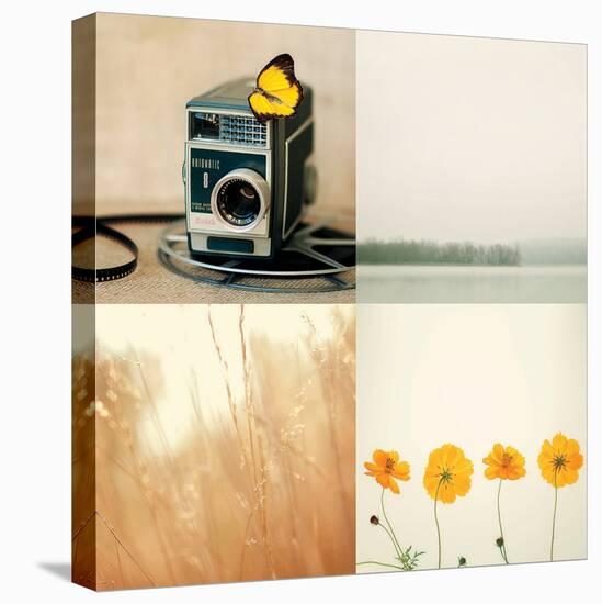 Meadow Story-Mandy Lynne-Stretched Canvas