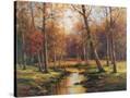 Stretched Canvas