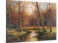 Stretched Canvas