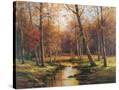 Stretched Canvas