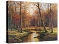 Stretched Canvas