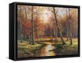 Framed Canvas