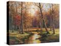 Stretched Canvas
