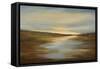 Meadow Sunset-Sheila Finch-Framed Stretched Canvas