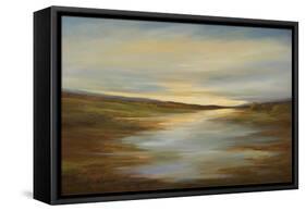 Meadow Sunset-Sheila Finch-Framed Stretched Canvas