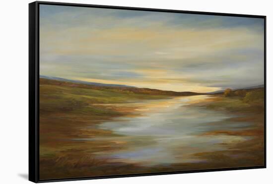 Meadow Sunset-Sheila Finch-Framed Stretched Canvas