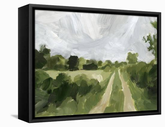 Meadow Trail II-Victoria Barnes-Framed Stretched Canvas