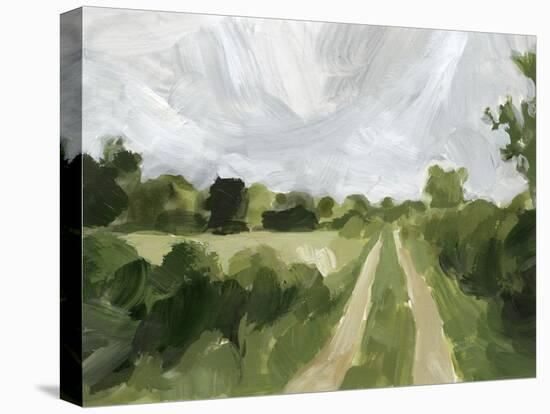 Meadow Trail II-Victoria Barnes-Stretched Canvas