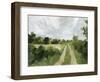 Meadow Trail II-Victoria Barnes-Framed Art Print