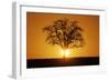 Meadow, Tree, Bald, Silhouette, Sunset Landscape-Ronald Wittek-Framed Photographic Print