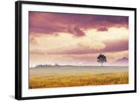 Meadow Tree-Andreas Stridsberg-Framed Giclee Print