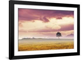 Meadow Tree-Andreas Stridsberg-Framed Giclee Print