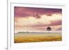 Meadow Tree-Andreas Stridsberg-Framed Giclee Print