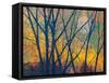 Meadow Trees I-Chris Vest-Framed Stretched Canvas