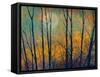 Meadow Trees II-Chris Vest-Framed Stretched Canvas