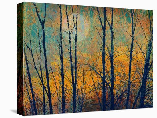 Meadow Trees II-Chris Vest-Stretched Canvas