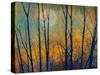 Meadow Trees II-Chris Vest-Stretched Canvas