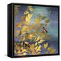 Meadow View-Anna Polanski-Framed Stretched Canvas