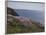 Meadow, Wild Flowers, Coast, England-Andrea Haase-Framed Photographic Print