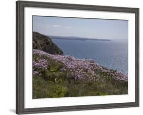 Meadow, Wild Flowers, Coast, England-Andrea Haase-Framed Photographic Print