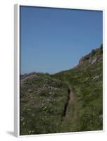 Meadow, Wild Flowers, Grass, Coast, England-Andrea Haase-Framed Photographic Print