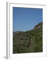 Meadow, Wild Flowers, Grass, Coast, England-Andrea Haase-Framed Photographic Print