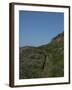 Meadow, Wild Flowers, Grass, Coast, England-Andrea Haase-Framed Photographic Print