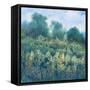 Meadow Wildflowers I-Tim OToole-Framed Stretched Canvas