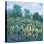 Meadow Wildflowers I-Tim OToole-Stretched Canvas