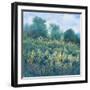 Meadow Wildflowers I-Tim OToole-Framed Art Print