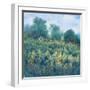 Meadow Wildflowers I-Tim OToole-Framed Art Print