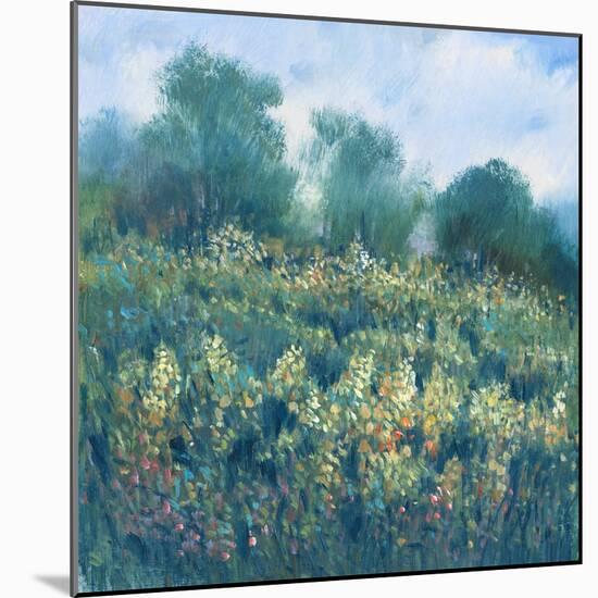 Meadow Wildflowers I-Tim OToole-Mounted Art Print